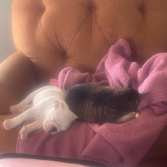 ๐๐MEET YOUR SELLER๐๐ ๐๐MEET YOUR BUYER๐๐ - Picture 8 of 9